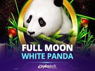 Full Moon_ White Panda™ thumbnail
